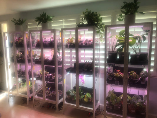 DIY IKEA Greenhouse Cabinet Hack - Milsbo Tall