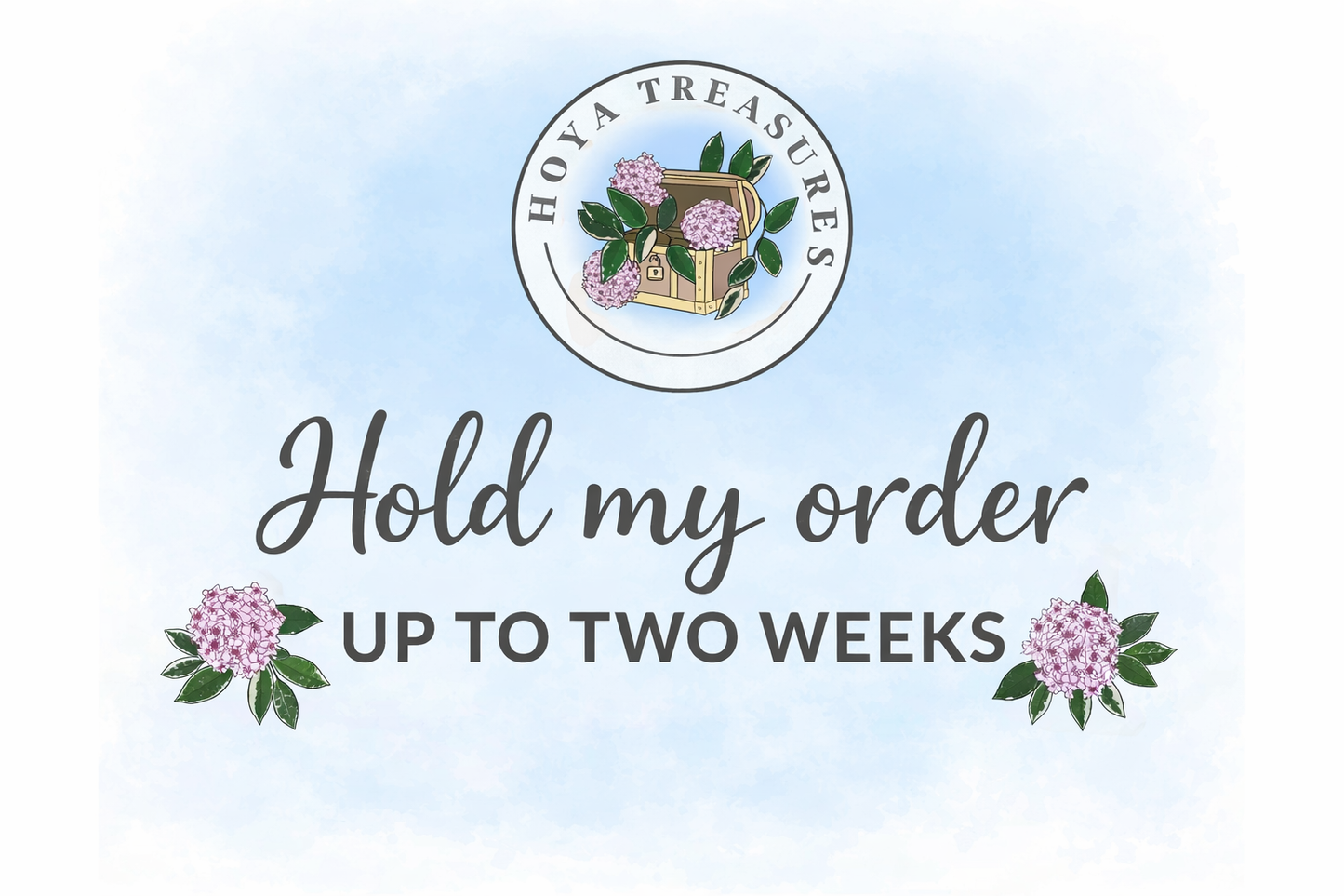 Hold My Order for Up to Two Weeks - Add-on Only