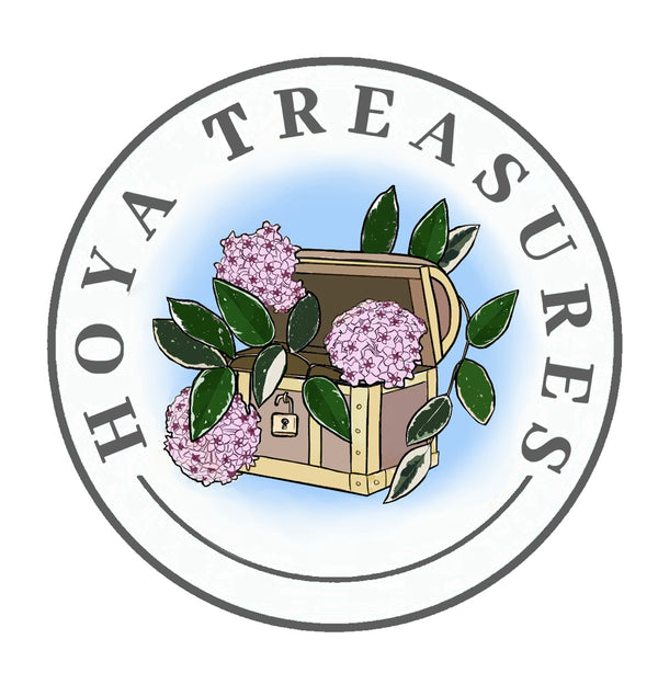 Hoya Treasures