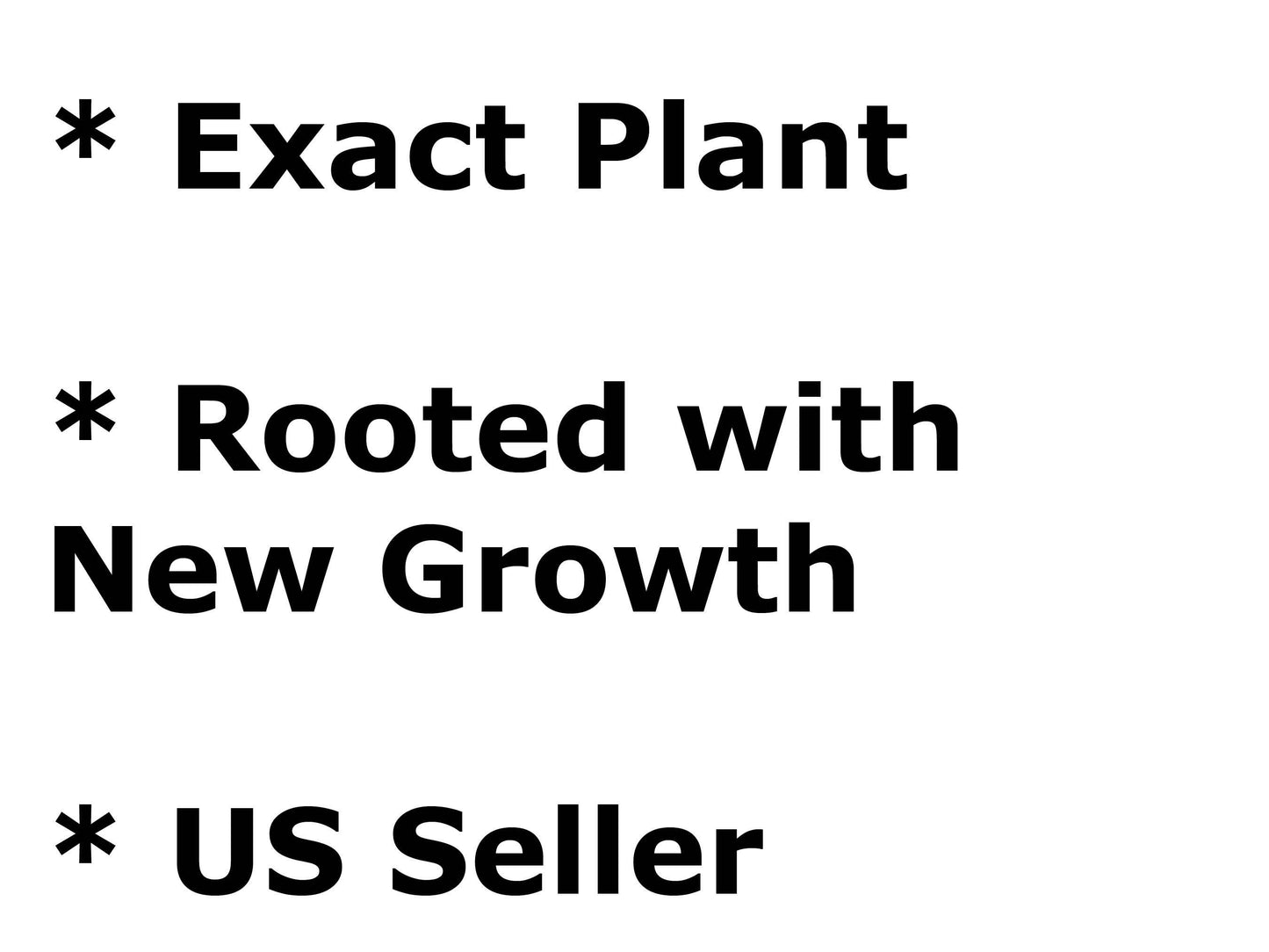 Hoya EX-01 (Silver) | 2-Inch